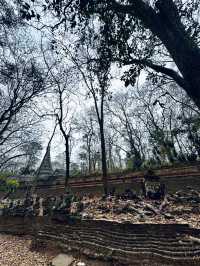 Wat Umong thriving meditation center of 13th century 