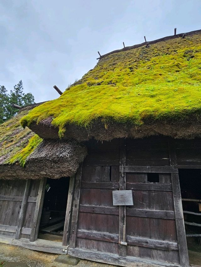 飛驒高山〔飛驒之里〕一日小旅行 🌿🏯