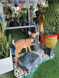 Hidden Green Spot in the City – Budget-Friendly Escape in Hong Kong