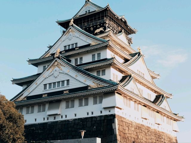 From Deer to Disney: My Dreamy Days in Japan