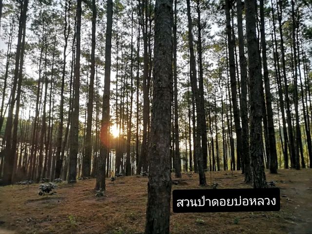 10 ที่พักเชียงใหม่ใกล้ชิดธรรมชาติ