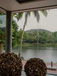 คาเฟ่ใกล้บ้าน