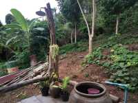 บ้านนาต้นจั่น สุโขทัย