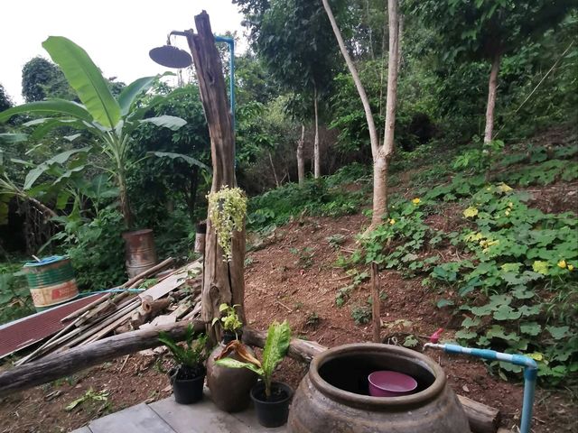 บ้านนาต้นจั่น สุโขทัย