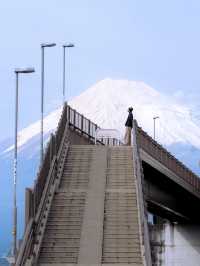【富士山で心震える絶景旅】日本一の山で自然と歴史に触れる🌄🗻
