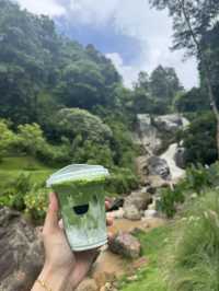 คาเฟ่เชียงใหม่ที่ไม่ควรพลาดต้องที่นี่ WTF Cafe ⛰️