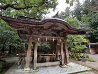 ⛩️ Serene Escape into Nature at Yahiko Shrine – Niigata