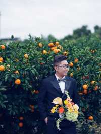 🍊 Jeju Orange Field – A Dreamy Summer Wedding Destination Straight Out of a K-Drama 🍊
