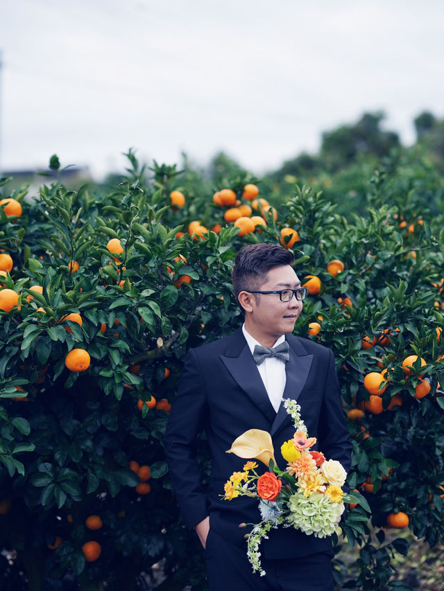 🍊 Jeju Orange Field – A Dreamy Summer Wedding Destination Straight Out of a K-Drama 🍊