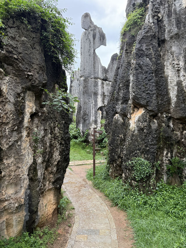 Kunming 9 Days Itinerary