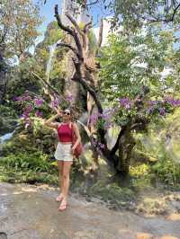🌿✨ Discover Dantewada’s Land of Angels Waterfall Park – Chiang Mai’s Fairy‑Tale Escape ✨🌿