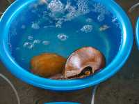 หมู่บ้านชาวประมง Mui Ne Fish Village