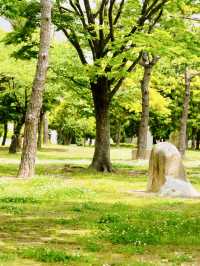 Busan Olympic Park: A Verdant Urban Oasis for Recreation and Relaxation