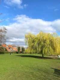 Christchrch Meadows