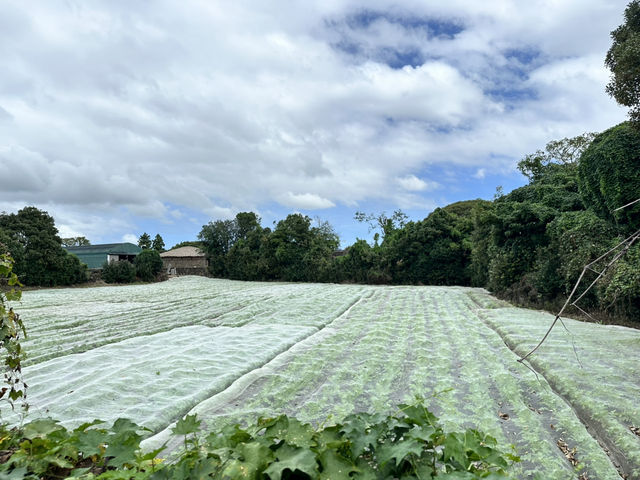 🏡一腳踏進濟州古代生活現場！《城邑民俗村》：這不只是村落，是一座活著的歷史博物館！🌾⛰️