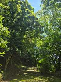 【原不動滝】森の奥にひっそりと佇む、癒しの三段滝でマイナスイオンチャージ🌲✨