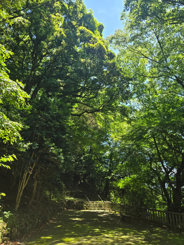 【原不動滝】森の奥にひっそりと佇む、癒しの三段滝でマイナスイオンチャージ🌲✨