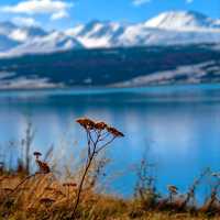 A Blue So Bold: The Magic of Lake Pukaki!