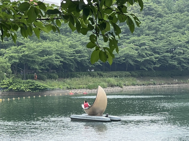 석촌 호수의 여름