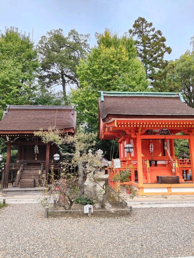 Kita Ward: A Northern Pause Between Heritage and Hillside Calm