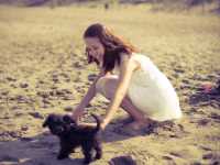 Golden Views: A Quiet Escape at Baker Beach