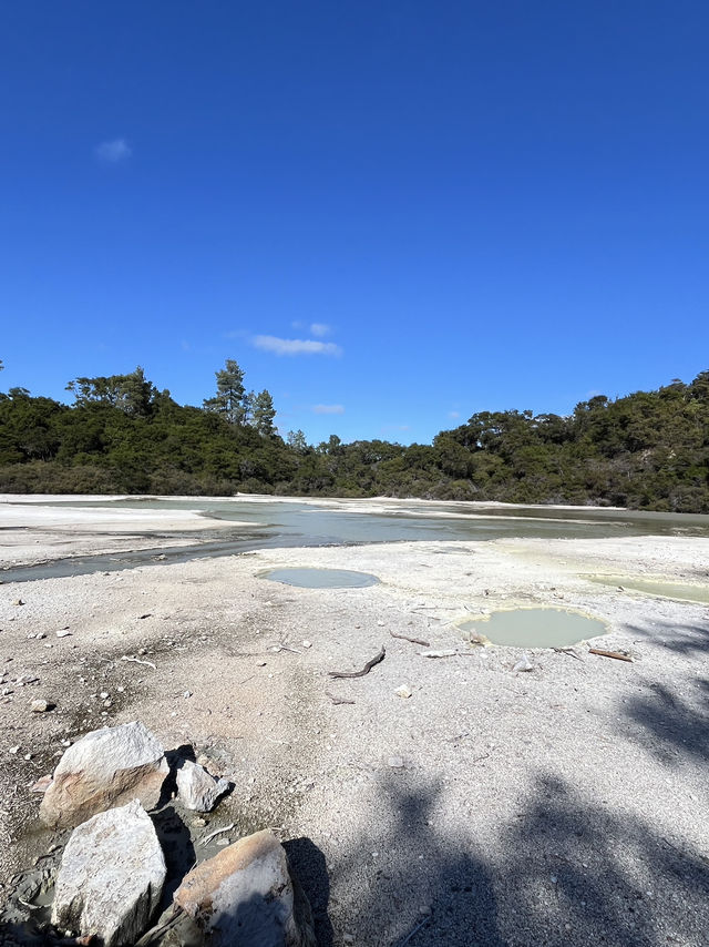 🥑紐西蘭「牛油果硫磺泉」爆美打卡｜Wai‑o‑Tapu Devil’s Bath 全攻略 