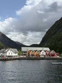 Bergen City Walk & Fjord Cruise – A Perfect Norwegian Day