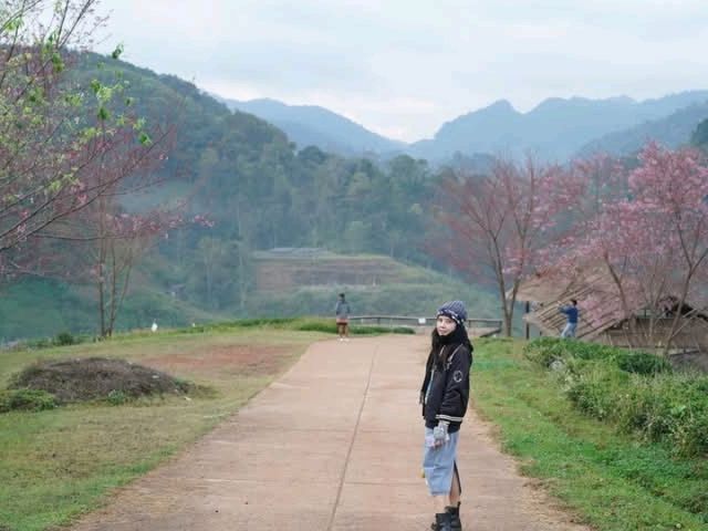 ไร่ชา2000สวยมาก