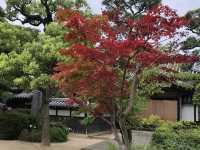 日本岡山倉敷美觀地區日本