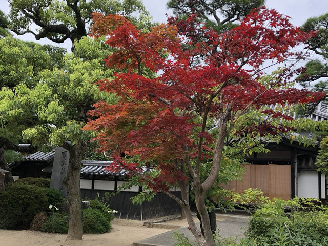 日本岡山倉敷美觀地區日本