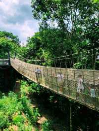🌳🐒 “Step into the Wild!” – Asian Rainforest Adventure Singapore 