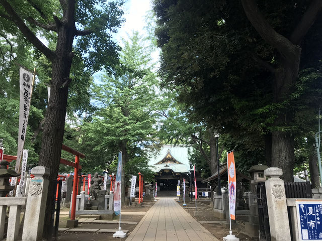 【雑司ヶ谷　鬼子母神　夏の朝の散歩】