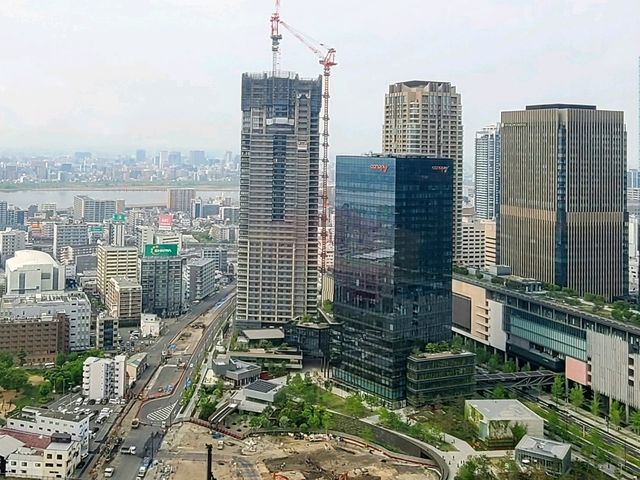 Waldorf Astoria Osaka(월도프 아스토리아 오사카) Peacock Alley 애프터눈티