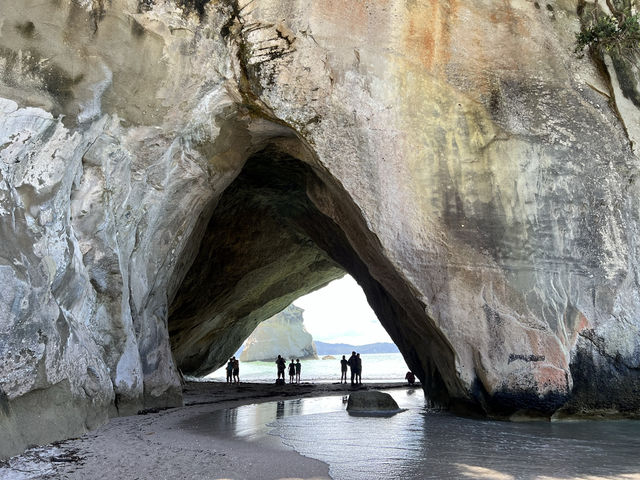 紐西蘭旅遊景點—⛱ Cathedral Cove｜電影場景般的夢幻秘境