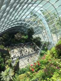 新加坡的室內植物園 Flower Dome