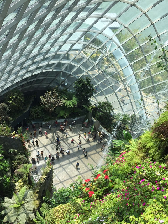 新加坡的室內植物園 Flower Dome