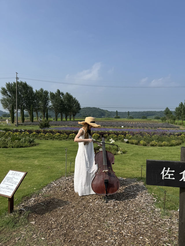 まるで北海道！東京から１時間ちょっとで行ける千葉のラベンダー畑