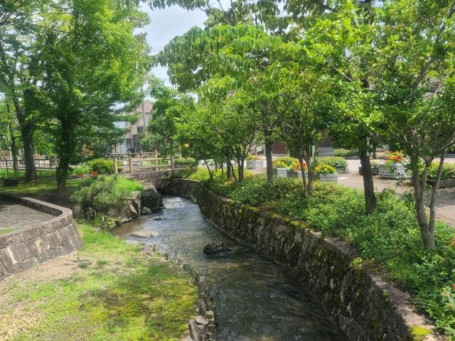도야마의 세계유산 고카야마와 소교토 조하나 그리고 도나미~!