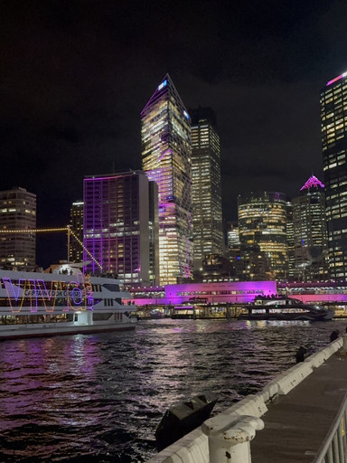 シドニーが光に包まれる特別な季節✨Vivid Sydney」に行ってきました