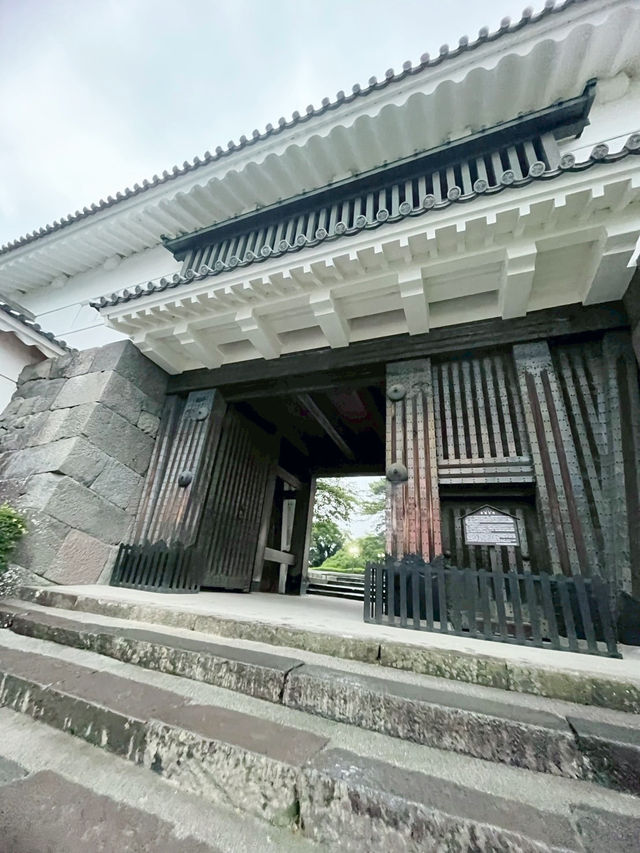 神秘又寧靜的百大名城｜小田原城夜晚也能逛！