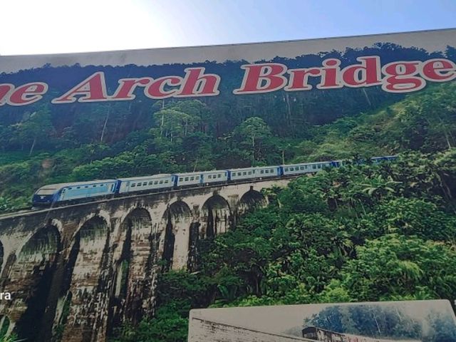 going to SRI LANKA?