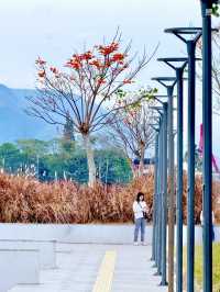 Charming Lake Toba