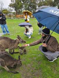 A trip to Melbourne 