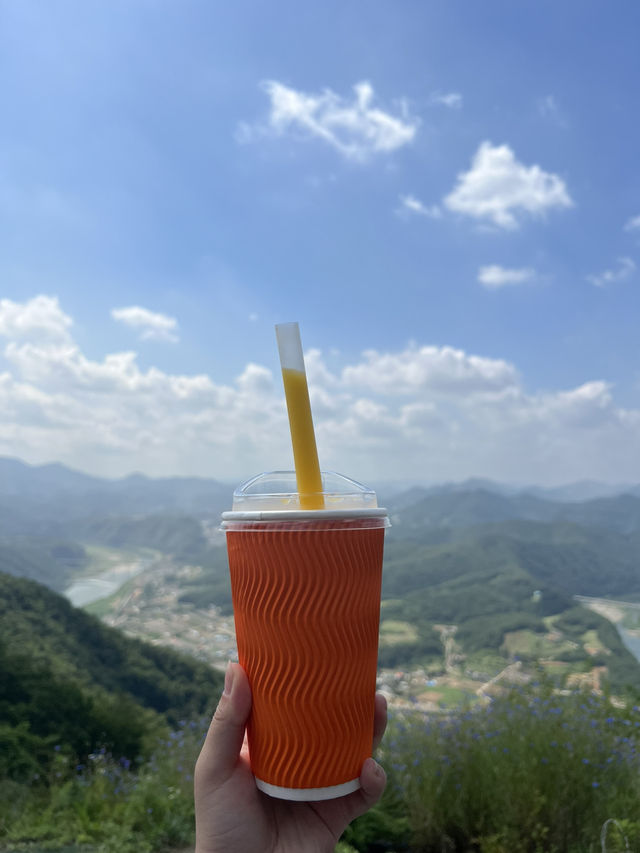 🪂 하늘에서 내려다본 단양, 그리고 감성 가득 카페산☕