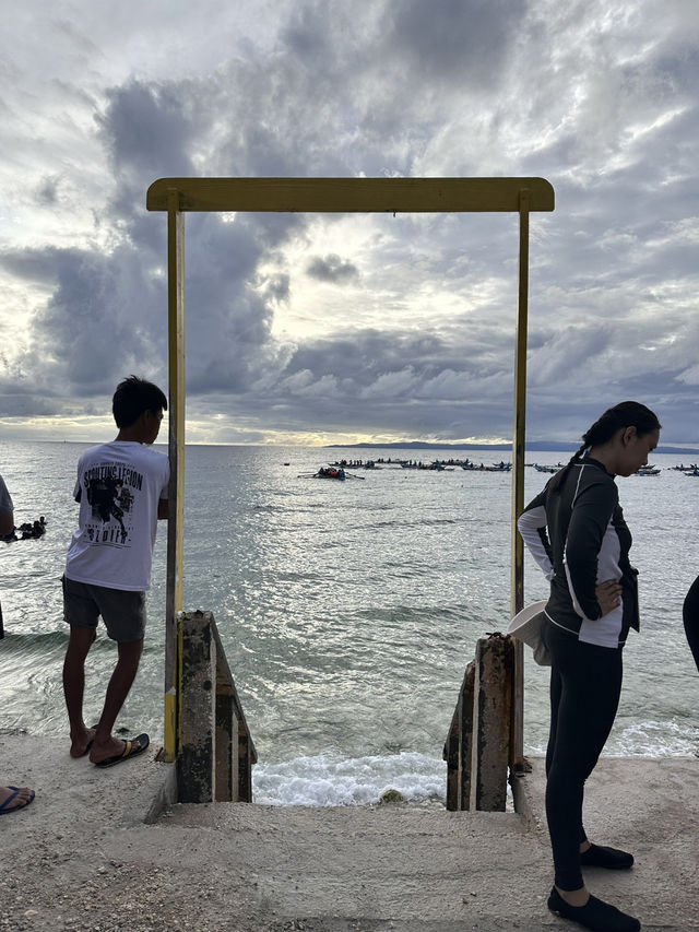 🐋고래상어와 함께 수영을! 세부 오슬롭