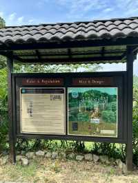 UNESCO Views from Above: Forest Skywalk at FRIM Takes You to New Heights!