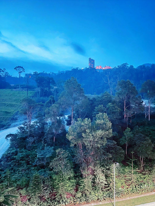 Scapes Hotel Genting: A Stylish & Affordable Urban Jungle Retreat 