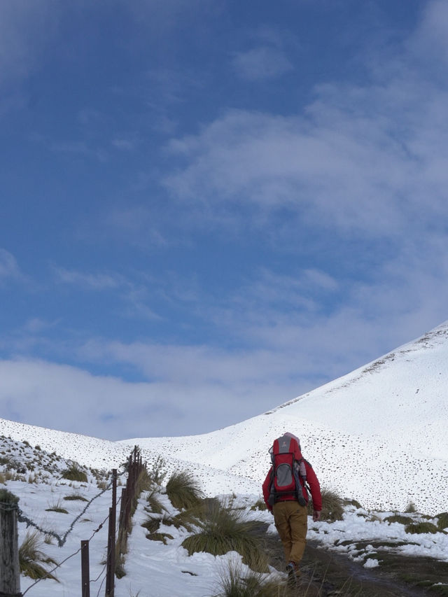 紐西蘭南島｜Lindis Pass｜經典山口風景線，遼闊公路上的靜謐震撼 ❄️🛣️