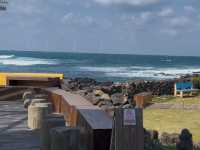 Jeju Escape: Cafe Bomnal’s Coastal Charm 