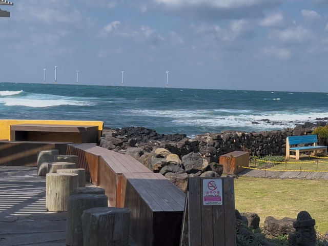 Jeju Escape: Cafe Bomnal’s Coastal Charm 